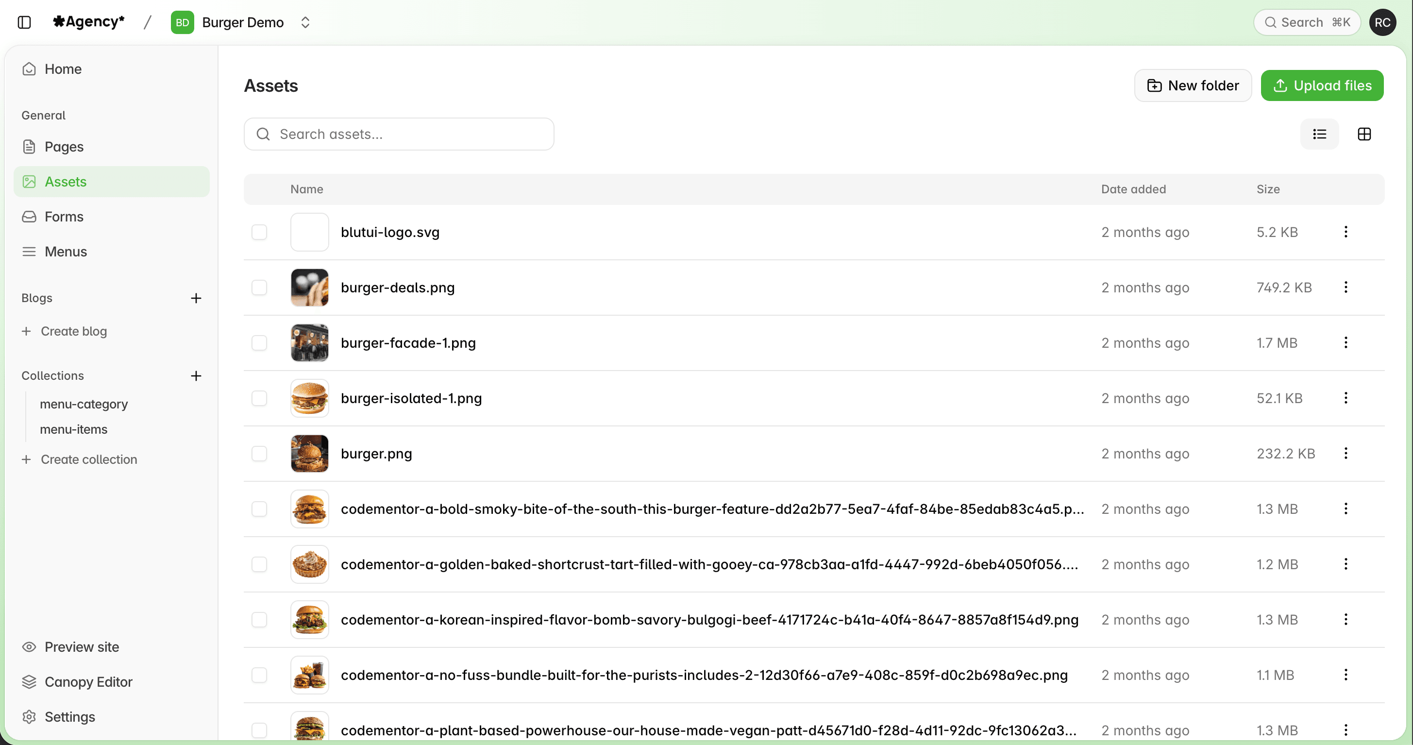 Assets Tab on dashboard